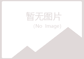 包头青山匆匆咨询有限公司